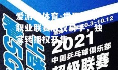 爱游戏体育-世界篮球职业联赛版权易手，独家转播权开售